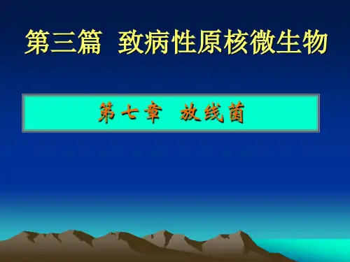 ppt6-放线菌-2