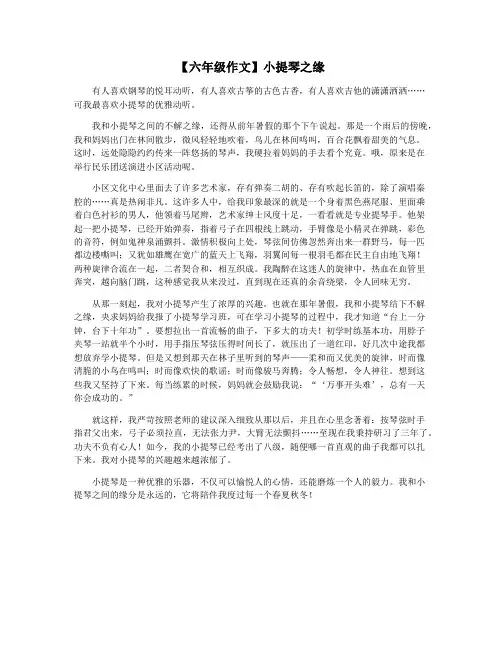 【六年级作文】小提琴之缘