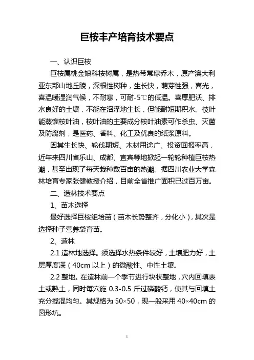 巨桉丰产培育技术要点