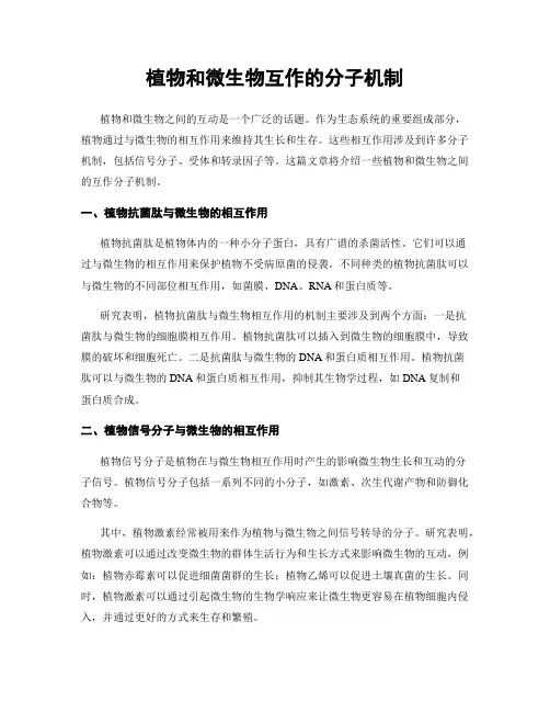 植物和微生物互作的分子机制