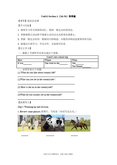 人教版英语七年级下册Unit11 Section A(2d-3b)导学案