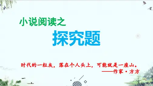 《小说阅读之探究题》精品系列—新高考语文专项复习PPT