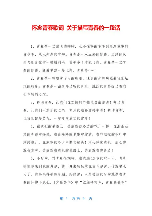 怀念青春歌词 关于描写青春的一段话