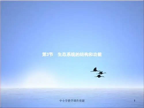 八年级生物下册第23章第3节生态系统的结构和功能课件新版北师大版