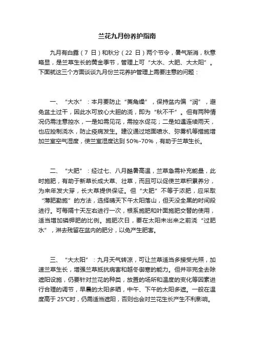 兰花九月份养护指南