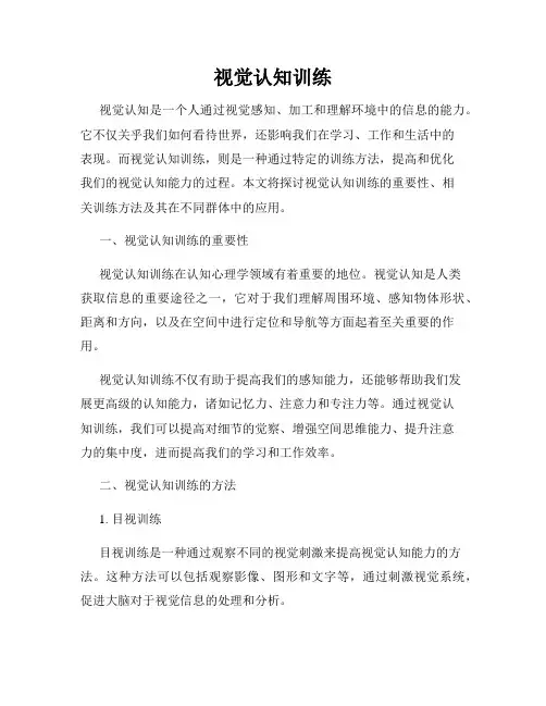 视觉认知训练