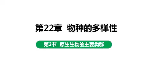 原生生物的主要类群课件2022-2023学年北师大版生物八年级下册