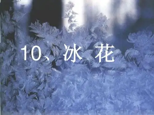 苏教版一年级上册10《 冰花》课件ppt (精心备课)