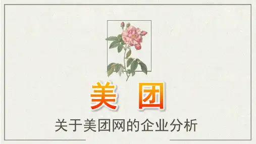 关于美团网的企业分析