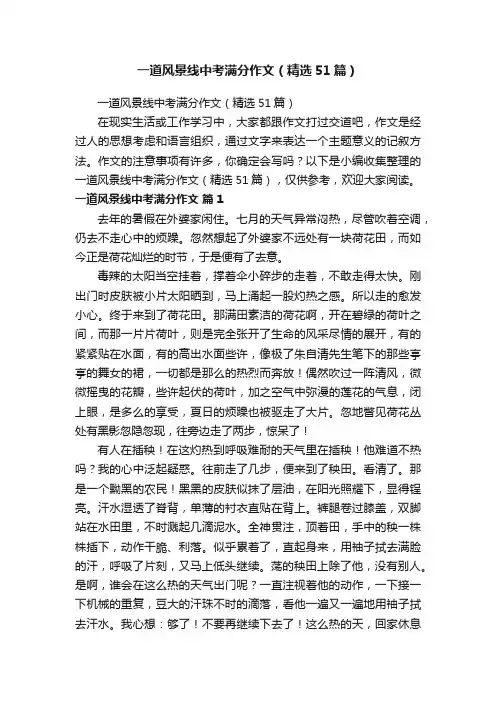 一道风景线中考满分作文（精选51篇）