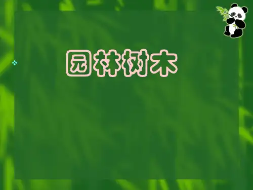第1章园林树木,电子教案