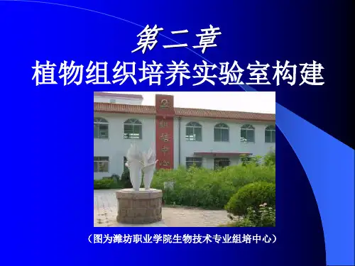 植物组织培养实验室的构建