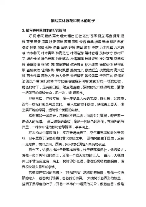 描写森林野花和树木的句子