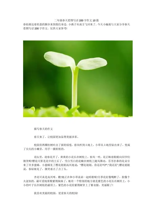 二年级春天看图写话200字作文10篇 
