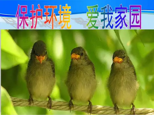 五年级同步扩展作文《环保作文指导》(共23张PPT)-人教(部编版)【推荐下载课件】