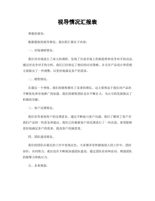 视导情况汇报表