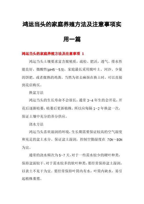 鸿运当头的家庭养殖方法及注意事项实用一篇