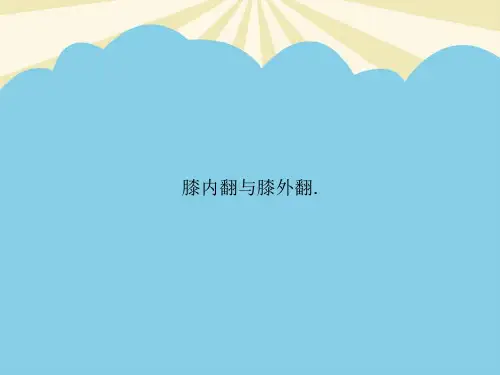 膝内翻与膝外翻.优质PPT资料