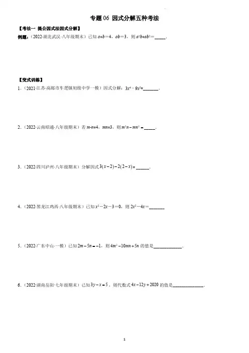 专题06 因式分解五种考法(学生版)