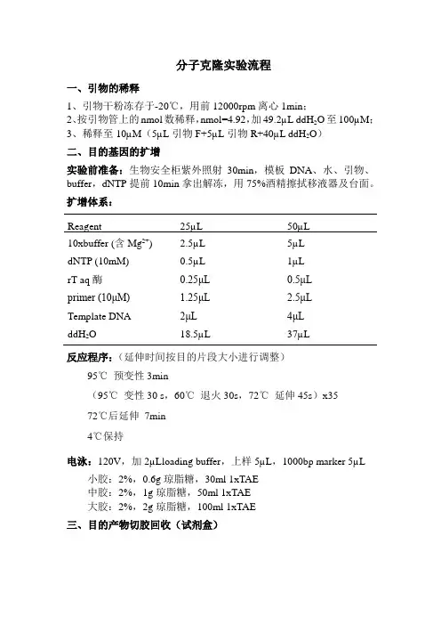 分子克隆实验流程