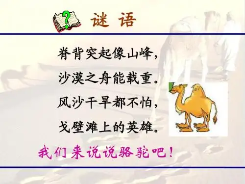 三年级语文上册16.找骆驼ppt