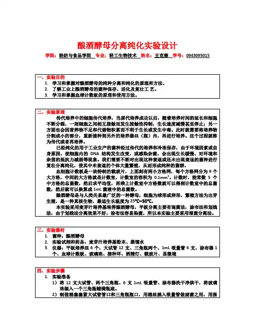 酿酒酵母的分离纯化实验
