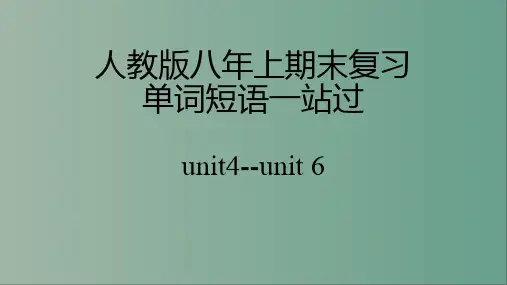 Units4-6重点单词短语复习课件人教版英语八年级上册