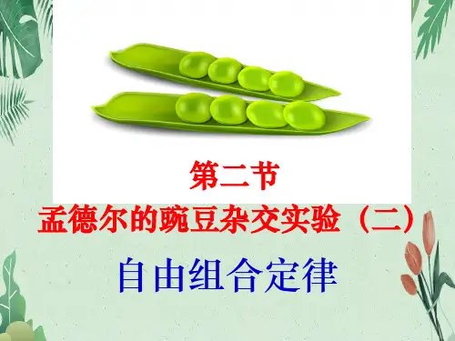 第二节孟德尔的豌豆杂交实验(二)(完美版课件)