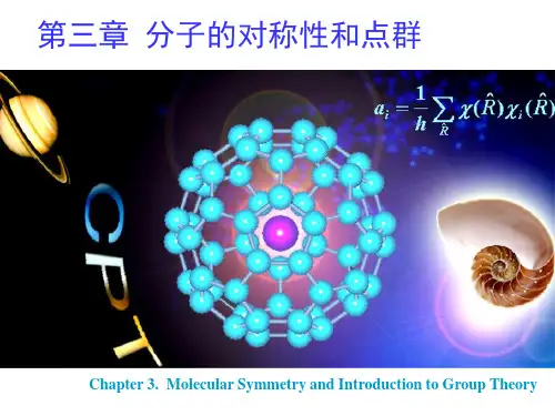 化学竞赛分子的对称性和点群