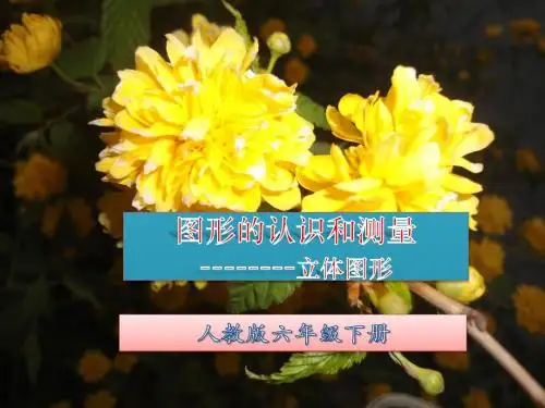 六年级数学总复习立体图形 - 课件
