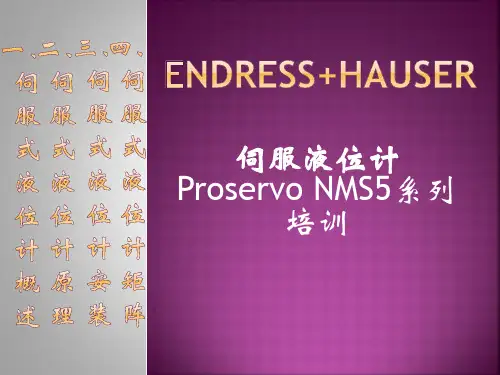 E+H伺服液位计培训课件