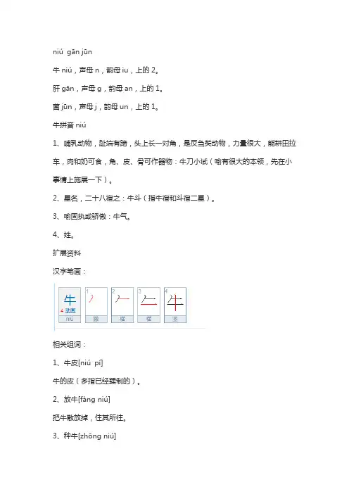 牛肝菌的读音
