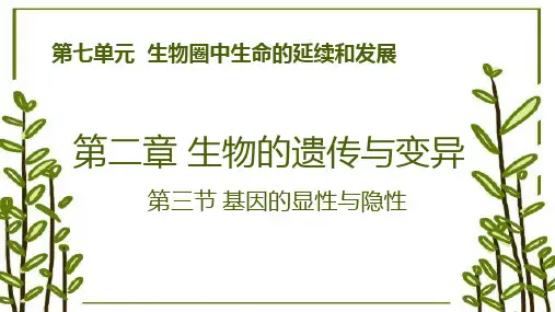 7.2.3基因的显性和隐性-八年级生物下册教学课件(人教版)