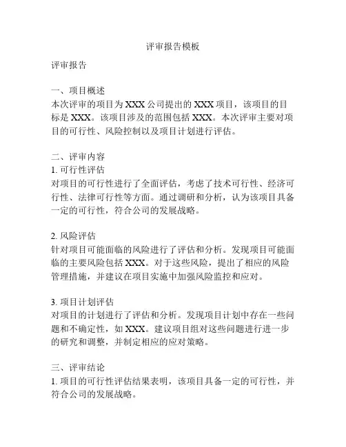评审报告模板