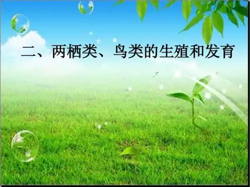 二、两栖类、鸟类