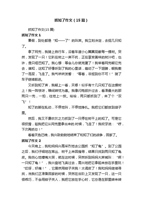 抓知了作文（15篇）