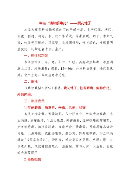 中药“清热解毒药”——紫花地丁