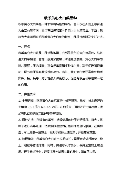 秋季黄心大白菜品种