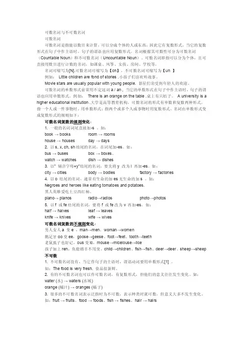 可数与不可数名词