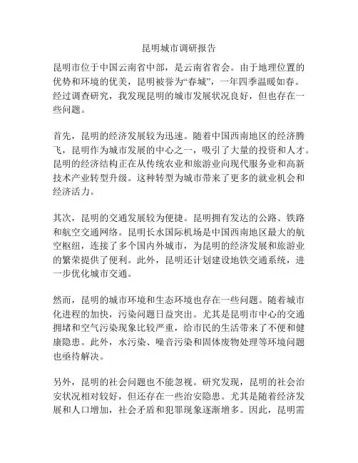 昆明城市调研报告