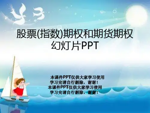 股票(指数)期权和期货期权幻灯片PPT