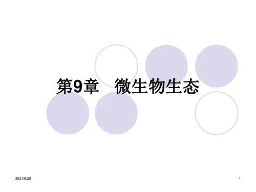 《微生物生态》PPT课件