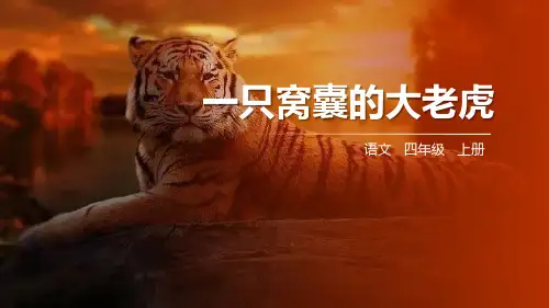 部编版四年级上册语文《一只窝囊的大老虎》说课教学PPT课件