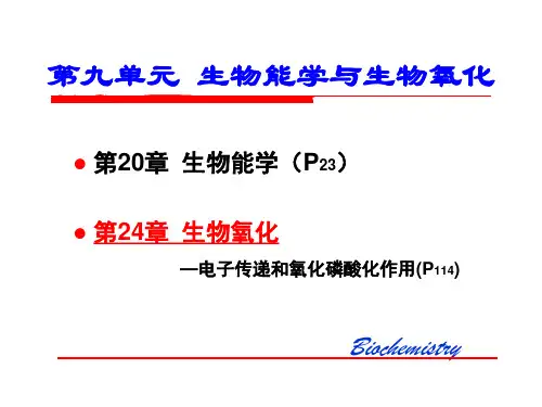 《生物化学》24 生物氧化