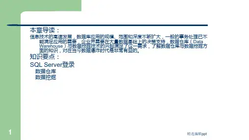 数据仓库和数据挖掘技术ppt课件