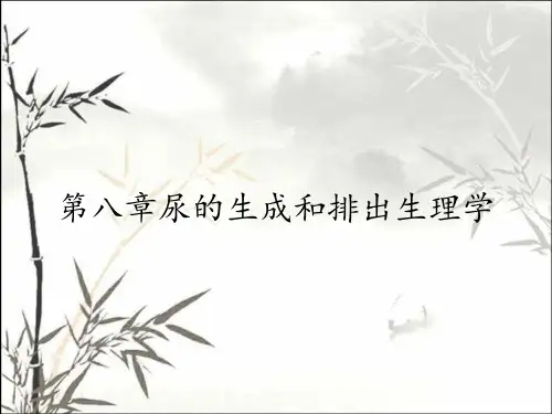 第八章尿的生成和排出生理学