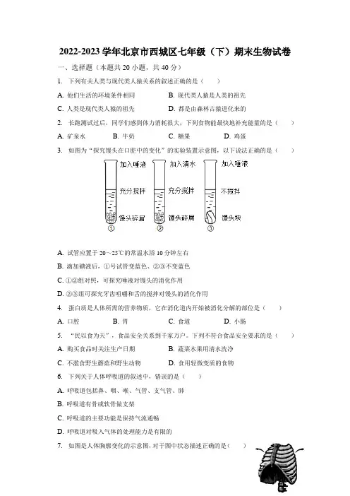北京市西城区2022-2023学年七年级下学期期末生物试卷(含答案)