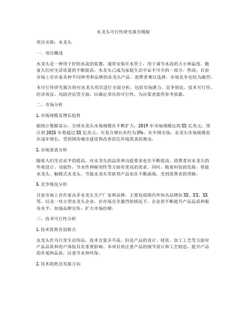 水龙头可行性研究报告模板