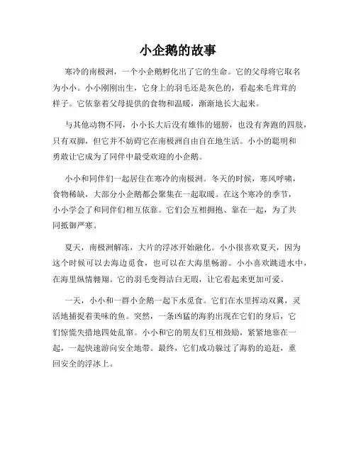 小企鹅的故事