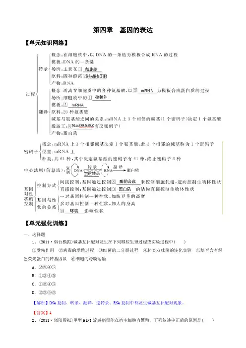2012版生物一轮精品复习学案：第4章 基因的表达(单元复习)(必修2)
